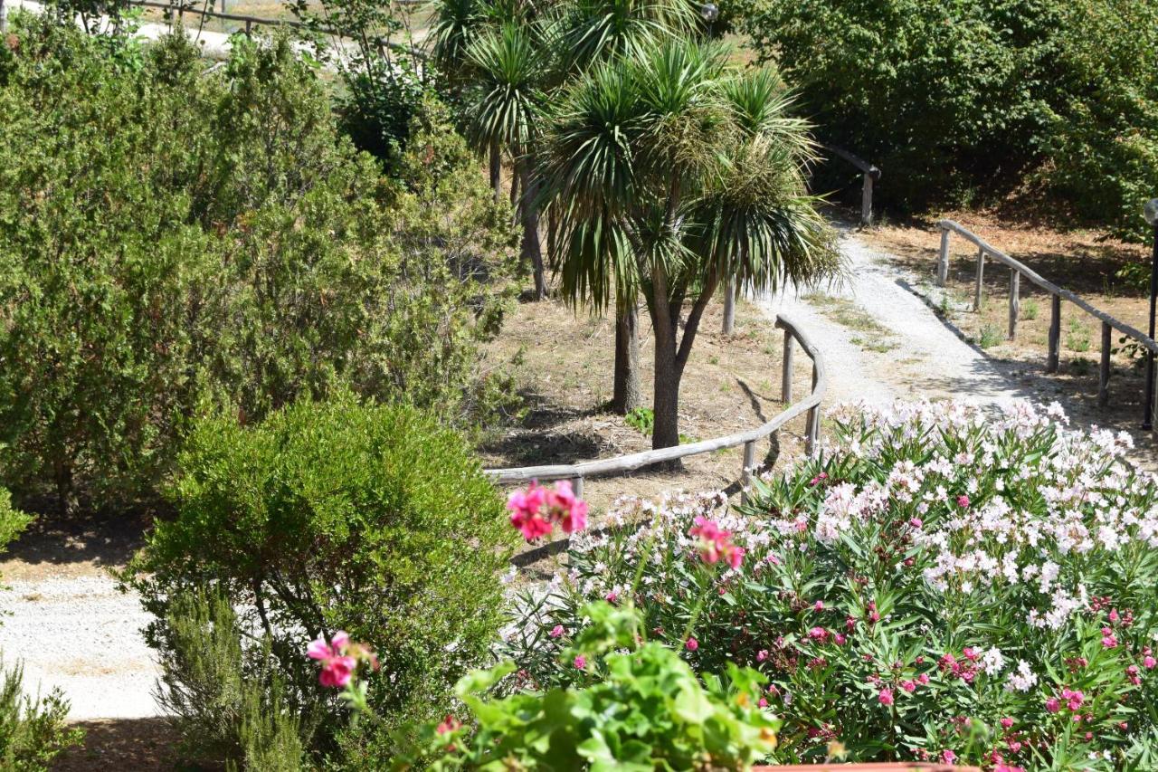 Fondo Santa Lucia Appartement SantʼAgata sui Due Golfi Buitenkant foto